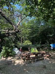 00897c24-56df-4304-a275-66da9086718e