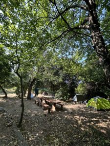 18c88605-c391-4cd3-ae65-11ea5b7bdc98