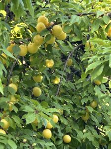 386a22b4-5c0f-4b29-8736-f92d4e46f716