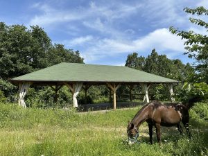 449177557_357681817146073_5492192734791183320_n