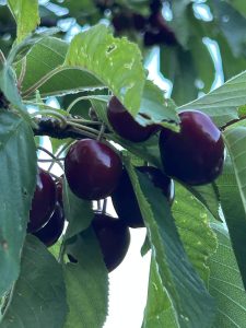 d7704451-e645-4e22-a8ca-19e7adb6d93e